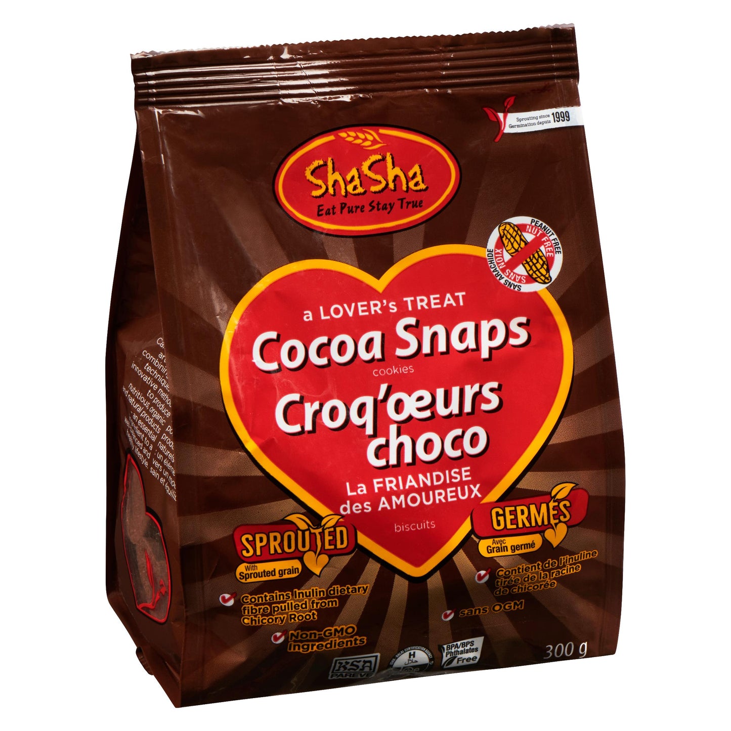 Cocoa Snap Cookies